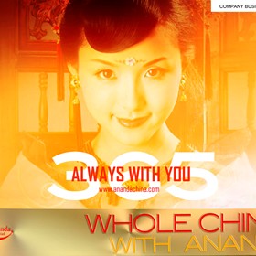 ANANDA TRAVEL - Representative. Moscow 2010: Ananda Business Profile